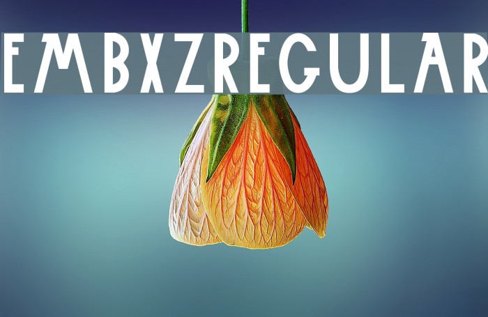 Embxz-Regular フォント examples