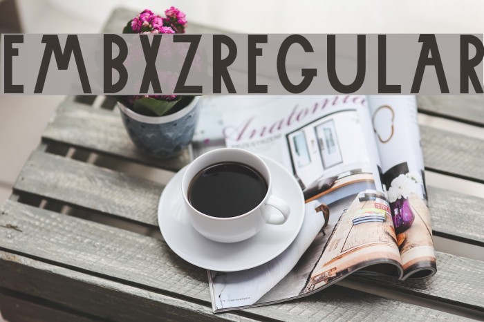 Embxz-Regular フォント examples
