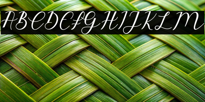 EmeleyScript-Italic Example 3