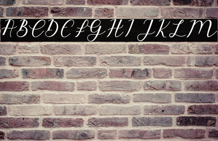 EmeleyScript-Italic Example 1