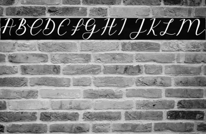 EmeleyScript-Italic Font examples