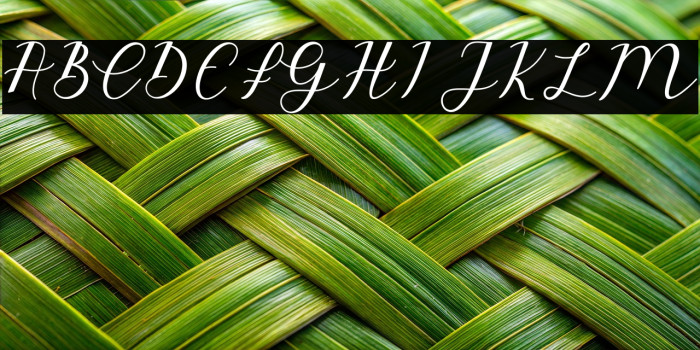 EmeleyScript-Italic Example 2