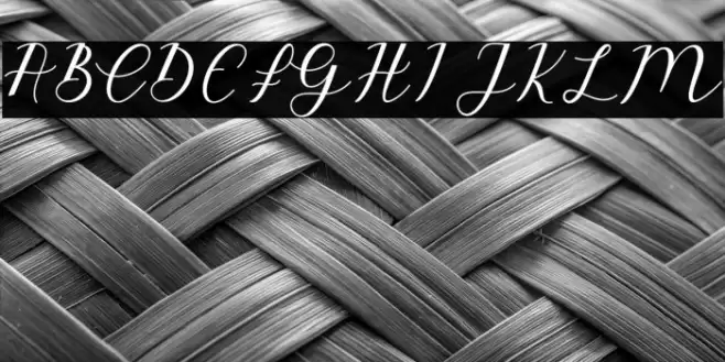 EmeleyScript-Italic Font examples