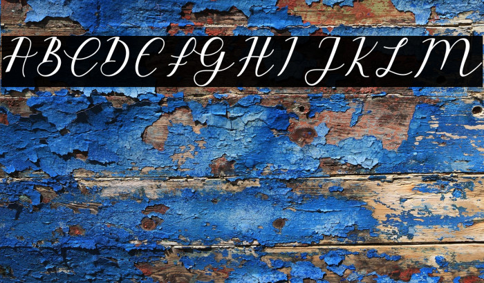 EmeleyScript-Italic Example 3