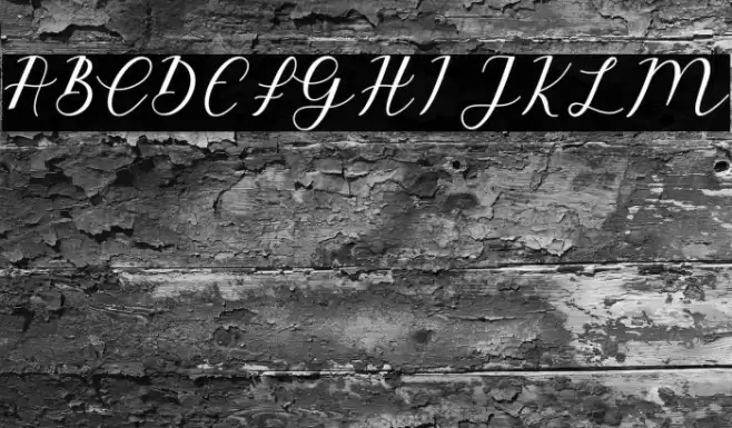 EmeleyScript-Italic Font examples