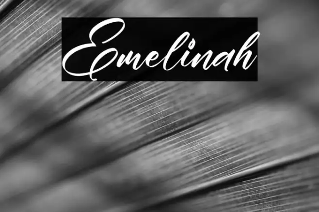 Emelinah Example 2