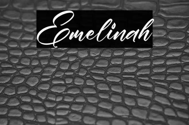 Emelinah Example 3