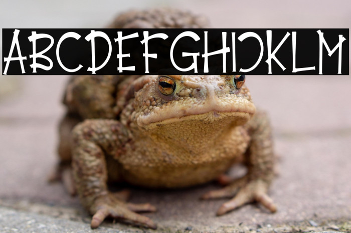 Emely Days Example 3