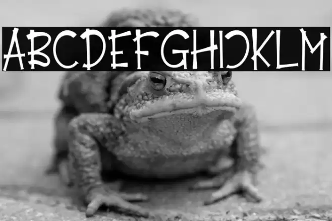 Emely Days फ़ॉन्ट examples