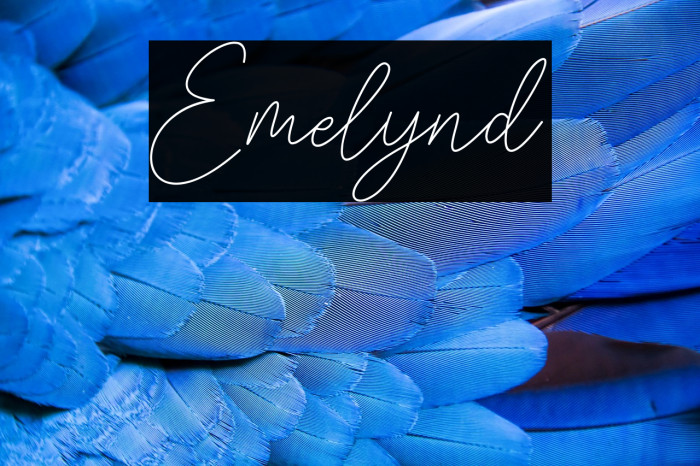 Emelynd Example 1