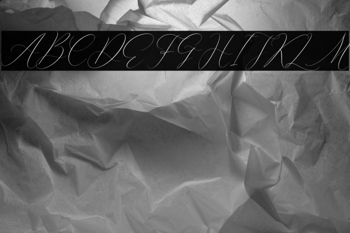 Emelystta Italic Example 1