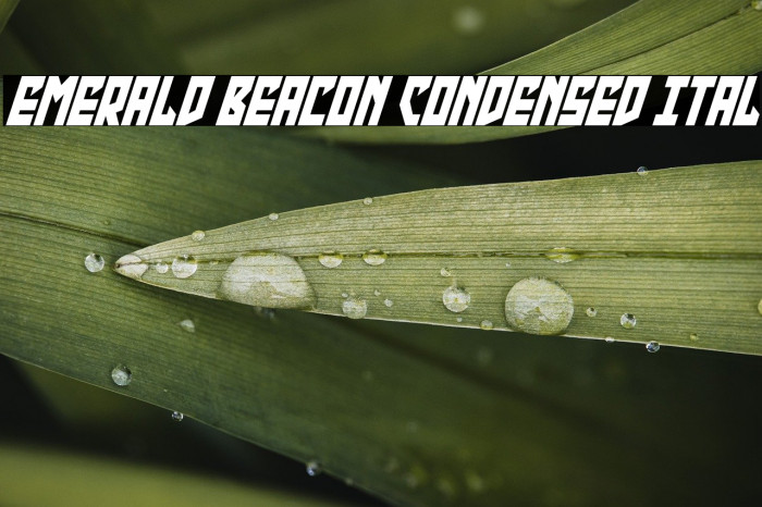 Emerald Beacon Condensed Ital Example 1