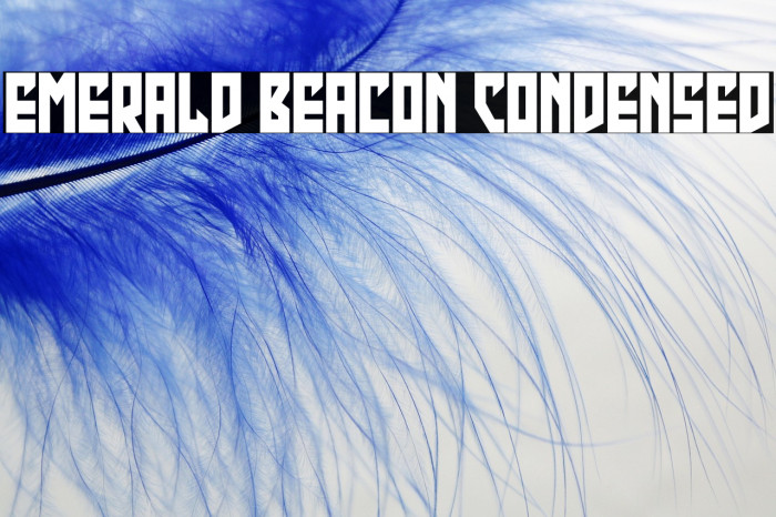 Emerald Beacon Condensed Example 2