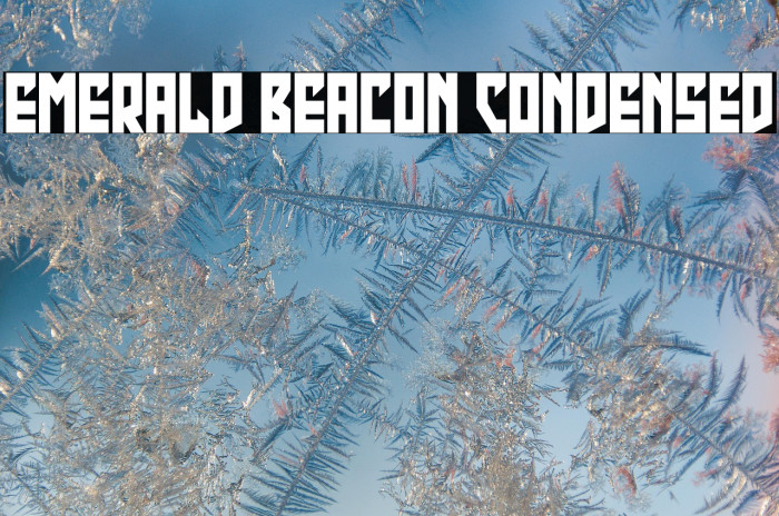 Emerald Beacon Condensed Example 3