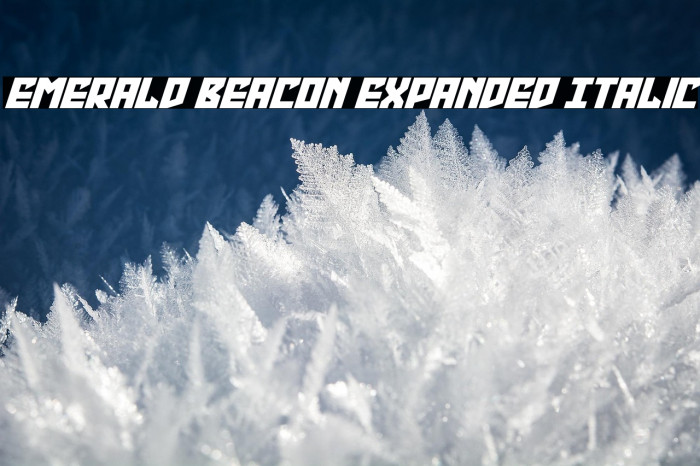 Emerald Beacon Expanded Italic Example 1