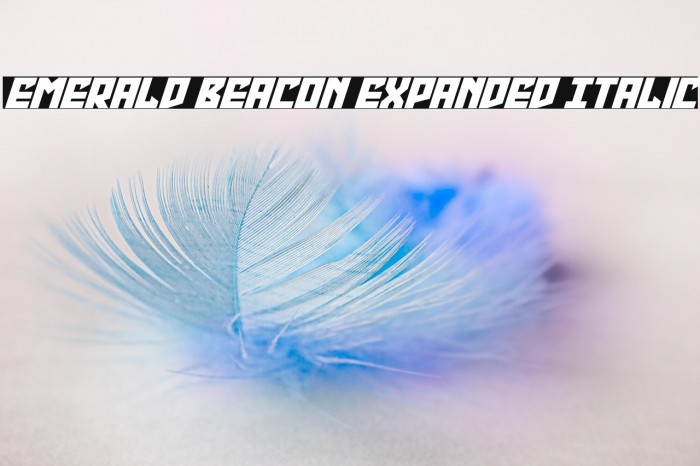 Emerald Beacon Expanded Italic Example 2