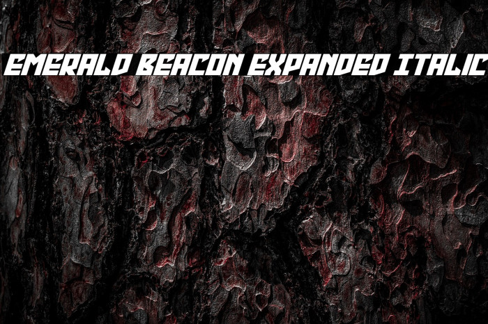 Emerald Beacon Expanded Italic Example 3