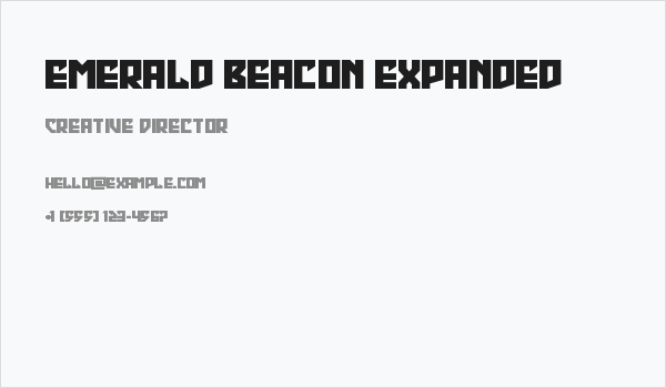 Emerald Beacon Expanded Business Card