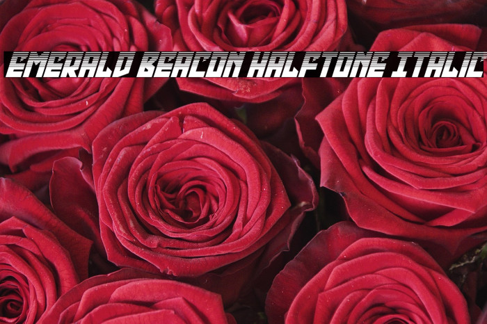 Emerald Beacon Halftone Italic Example 1