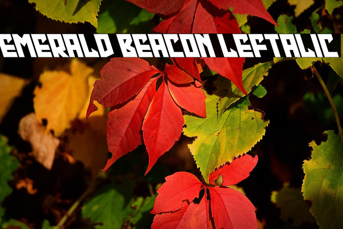 Emerald Beacon Leftalic Example 2