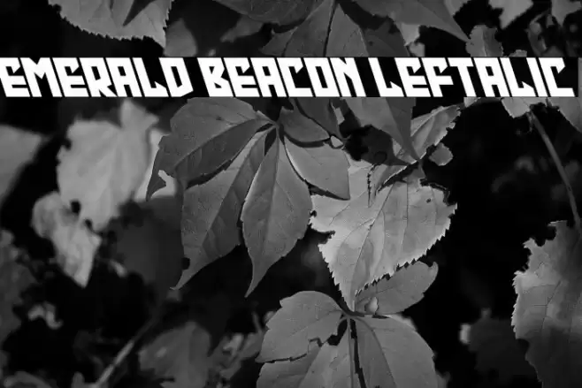 Emerald Beacon Leftalic Font examples