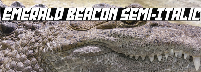 Emerald Beacon Semi-Italic Example 1