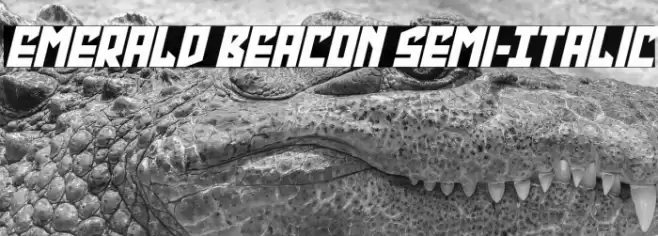 Emerald Beacon Semi-Italic Font examples