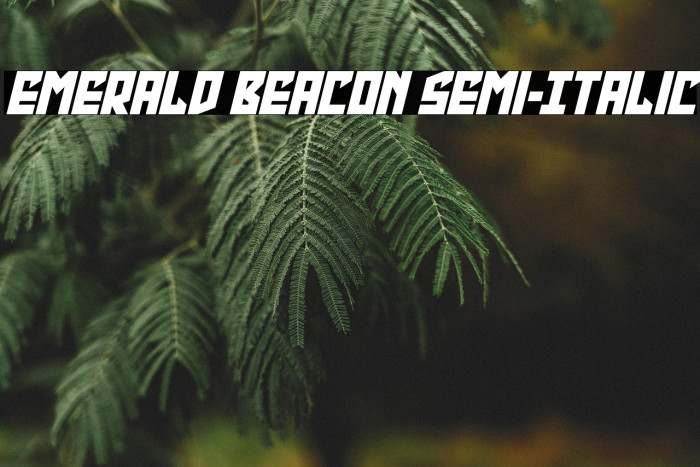Emerald Beacon Semi-Italic Example 2
