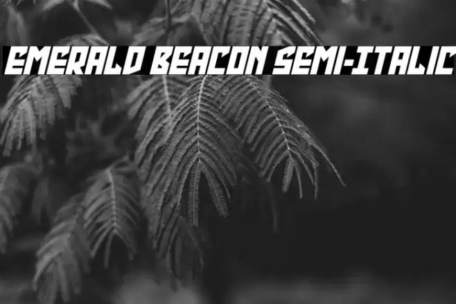 Emerald Beacon Semi-Italic Font examples