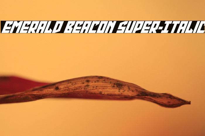 Emerald Beacon Super-Italic Example 1