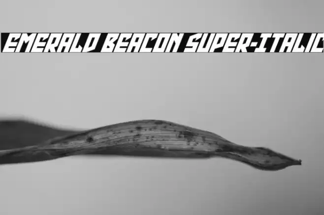 Emerald Beacon Super-Italic Font examples
