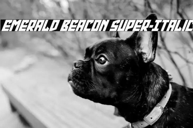 Emerald Beacon Super-Italic Font examples