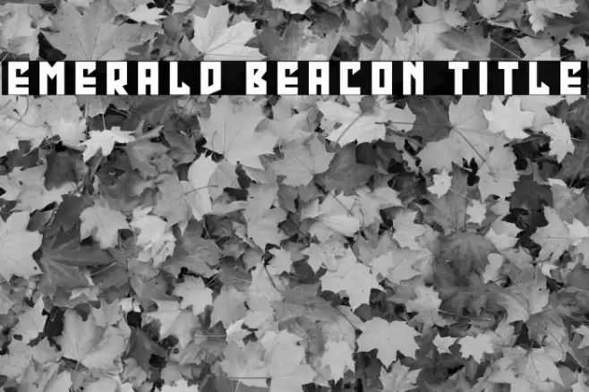 Emerald Beacon Title Font examples