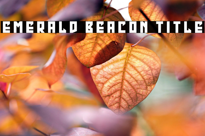 Emerald Beacon Title Example 2