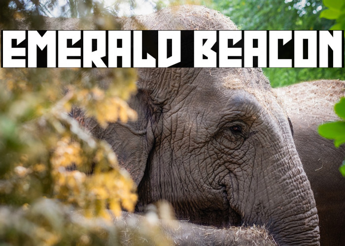 Emerald Beacon Example 1