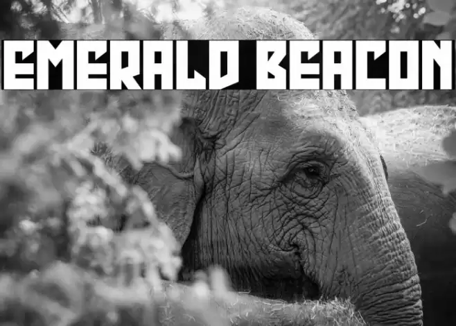 Emerald Beacon Font examples