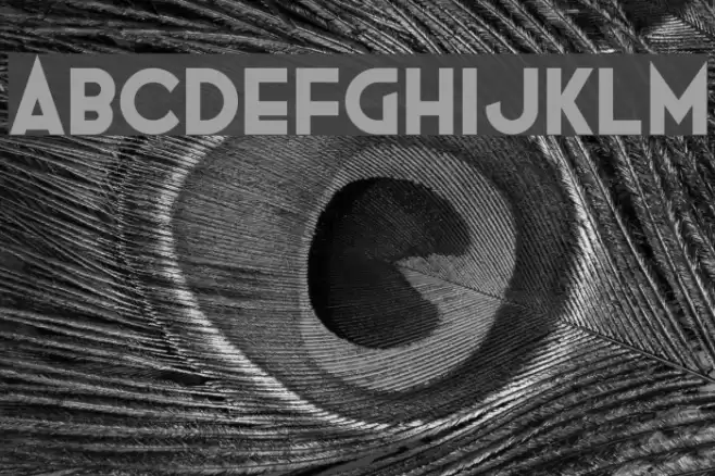 Emerald Grey Font examples