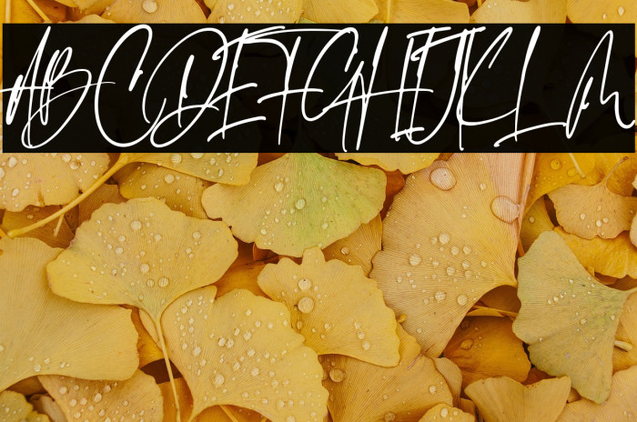 Emeralde Chamerions Script Example 3