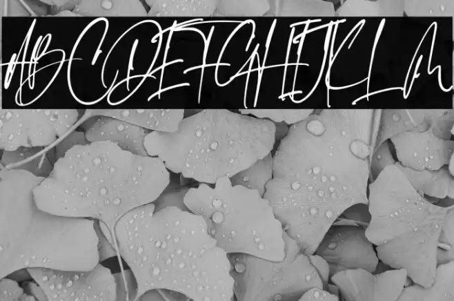 Emeralde Chamerions Script Example 3