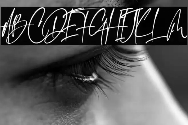 Emeralde Chamerions Script Font examples