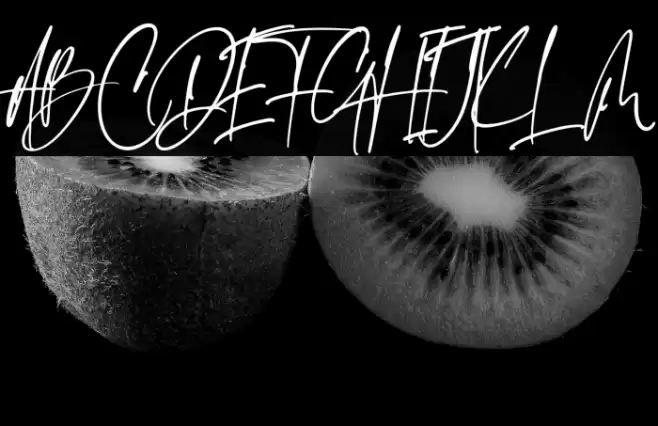 Emeralde Chamerions Script Font examples