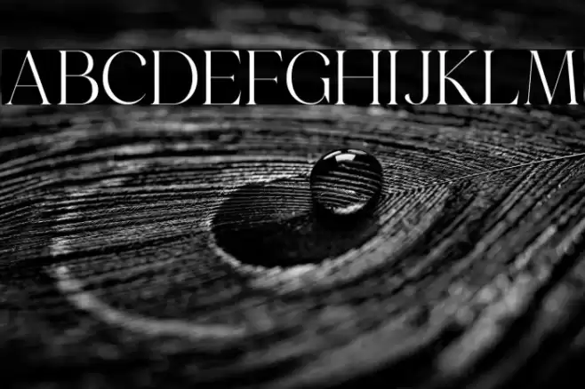 Emeralde Chamerions Serif Font examples