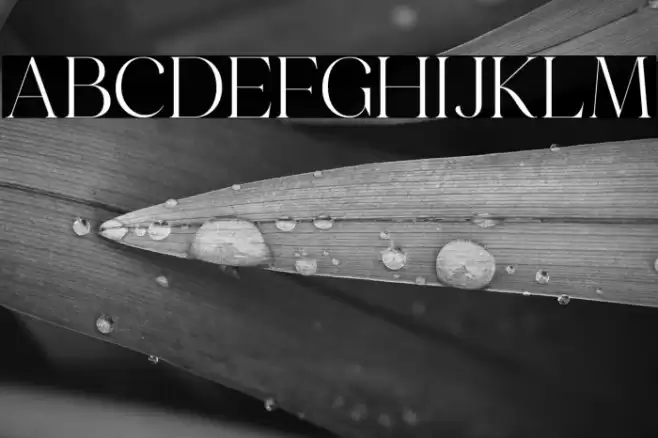 Emeralde Chamerions Serif Font examples