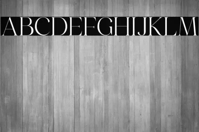 Emeralde Chamerions Serif Font examples