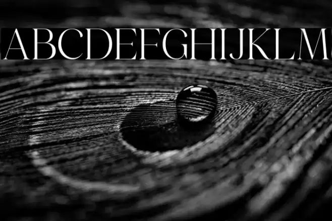 Emeralde Chamerions Serif Font examples