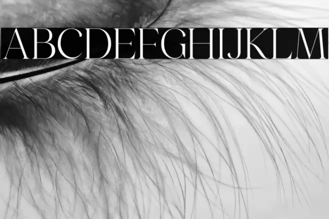 Emeralde Chamerions Serif Font examples