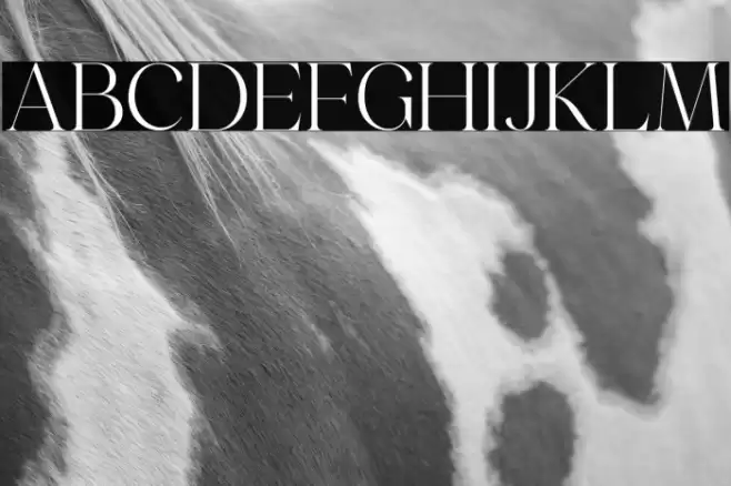 Emeralde Chamerions Serif Font examples