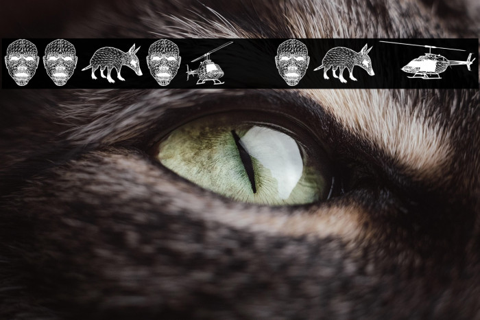 Emergency Regular Example 1