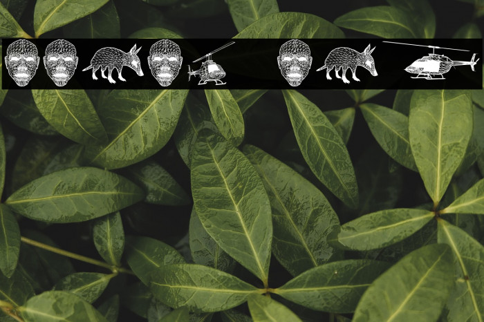 Emergency Regular Example 2