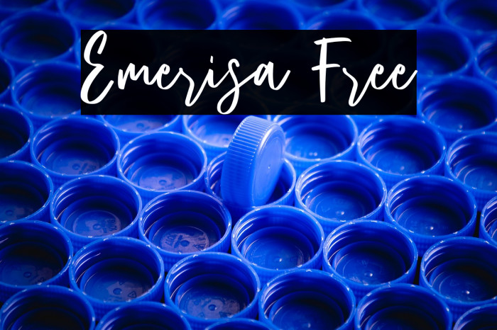 Emerisa Free Example 1